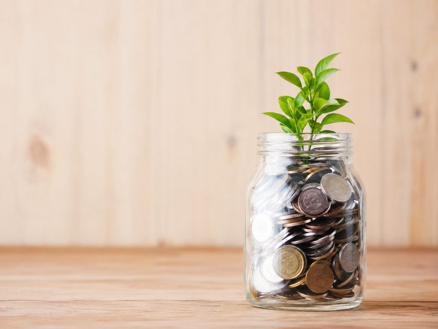 Coins in a glass jar with a small plant growing from it
